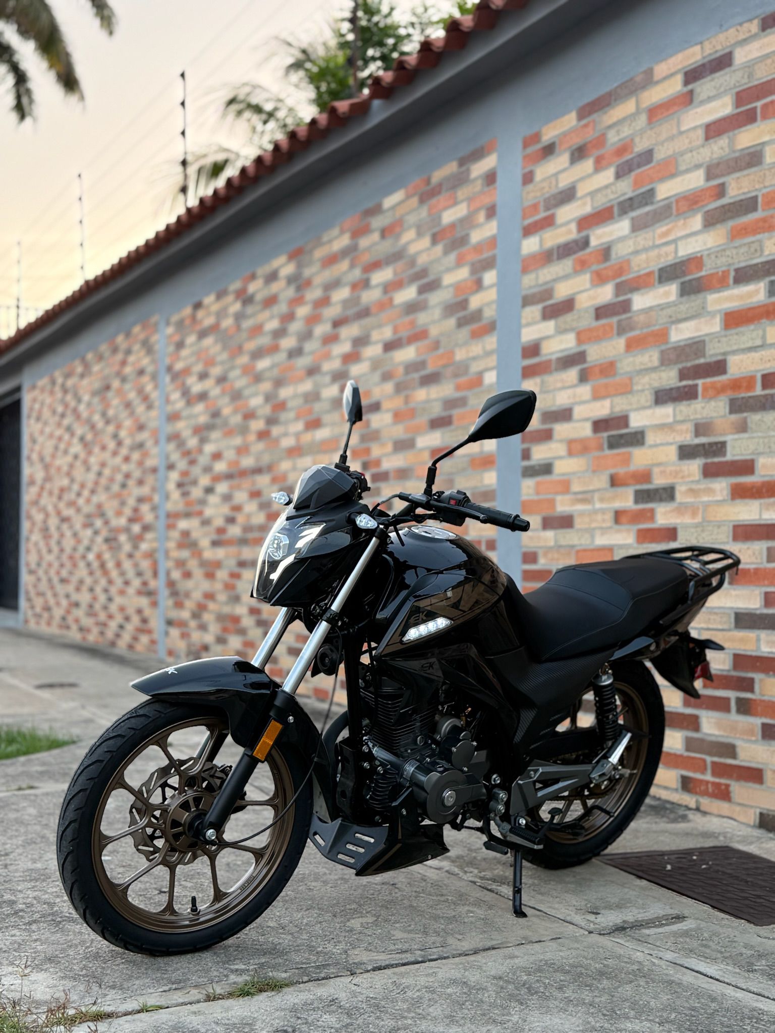 Principal 6